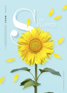 海鲜清新韩系向日葵鲜花海报设计