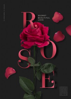 玫红色玫瑰韩系大气黑色红玫瑰鲜花海报设计