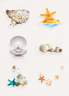 贝壳海洋彩色海洋生物贝壳png素材