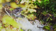 缓慢流动的溪水视频素材