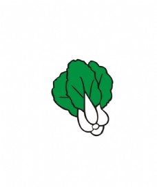 绿色蔬菜白菜简笔画