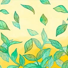 绿色叶子茶叶花纹