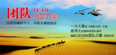 远山企业文化大雁骆驼团队