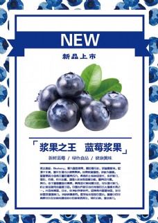 蓝莓新品上市海报