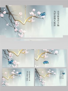 中国风蝴蝶飞舞AE模板