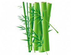 绿色叶子清新绿色竹子元素