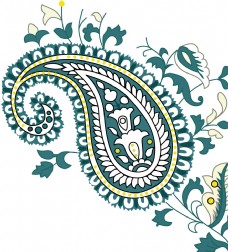 佩兹利 腰果花 花纹