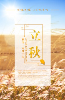 金黄色立秋丰收传统节日海报素材