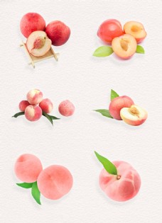 水果果实水果食物果实植物叶子桃子png素材