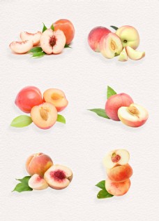 水果果实粉色鲜甜水蜜桃png水果实物