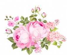 玫瑰花束矢量粉色玫瑰花花束