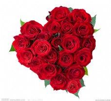玫红色玫瑰七夕情人节玫瑰花免扣元素