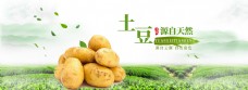 云南土豆淘宝海报