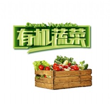 有机蔬菜立体绿色艺术字字体设计