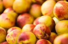 哈密瓜果园新鲜桃子高清水果摄影
