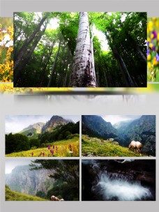 4K画质寂静的山林超清版