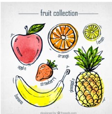 卡通菠萝水墨系列手绘水果矢量图
