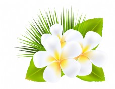 清新白色花朵元素