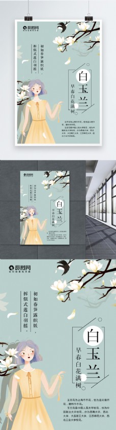 春季小清新白玉兰花卉海报