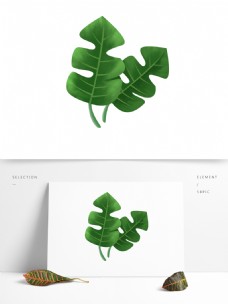 PS手绘绿叶插画元素设计素材