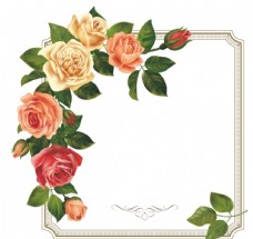 矢量背景素材精美玫瑰花边框背景矢量素材