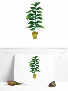 手绘绿色植物盆栽可商用元素