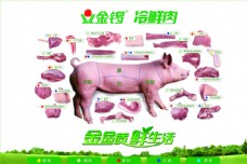 黑猪猪肉分割图