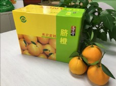 沃柑果园金堂脐橙橙子包装盒