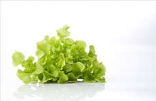 欧式花纹背景绿色新鲜蔬菜菜叶