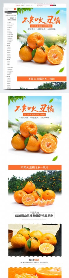 丑橘耙耙柑柑橘水果橙子桔子橘子水果详情页