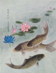 吴玉阳工笔画鲤鱼睡莲