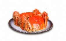 美食素材美食大闸蟹装饰素材