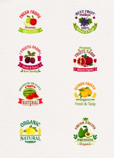设计组8组卡通彩色新鲜水果标签设计