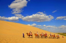 观光旅游沙漠骆驼旅游观光蓝天