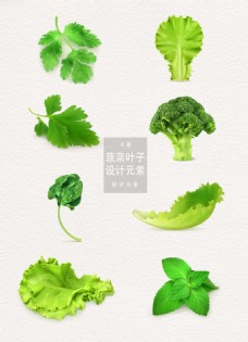 荷花蔬菜叶子设计元素