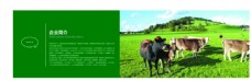 绿色蔬菜农业画册