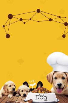 宠物医院创意宠物海报