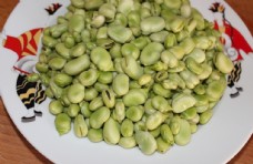蔬菜蚕豆蚕豆