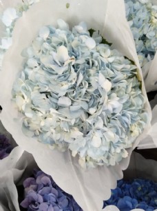 蓝色调灰蓝色低调沉稳的绣球鲜切花