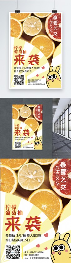 葡萄柚果汁海报