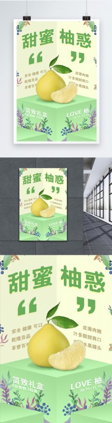 柚子尝鲜海报
