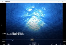 视频模板海底世界气泡珊瑚鱼