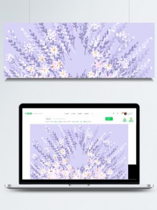 白色花紫色花束白色雏菊紫色卡通背景