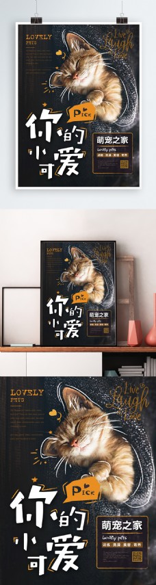 小清新手绘风宠物海报